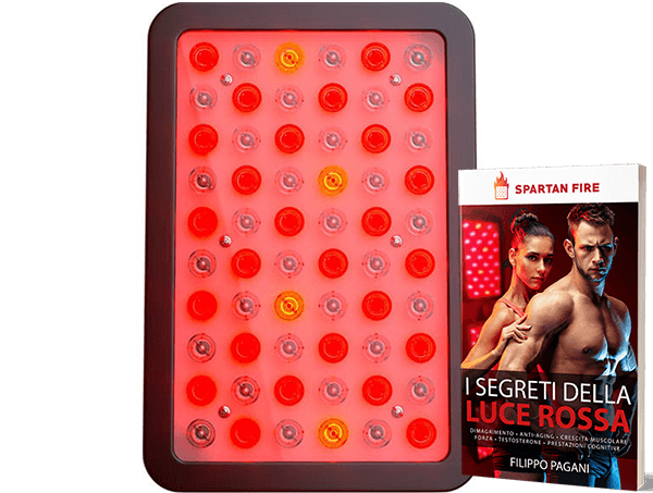 Spartan Fire spartan health Spartan Fire spartan health