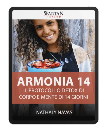 armonia 14
